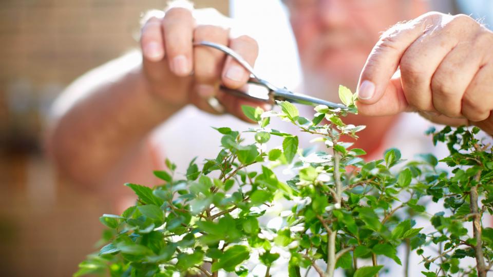 FT - Mogelijkheden om in onroerend goed te investeren in verticale landbouw