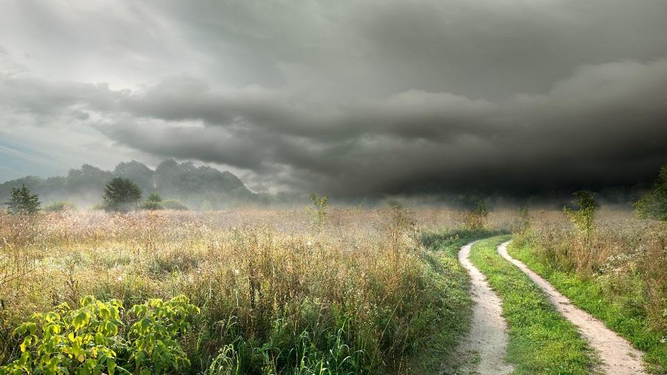 storm clouds in a field