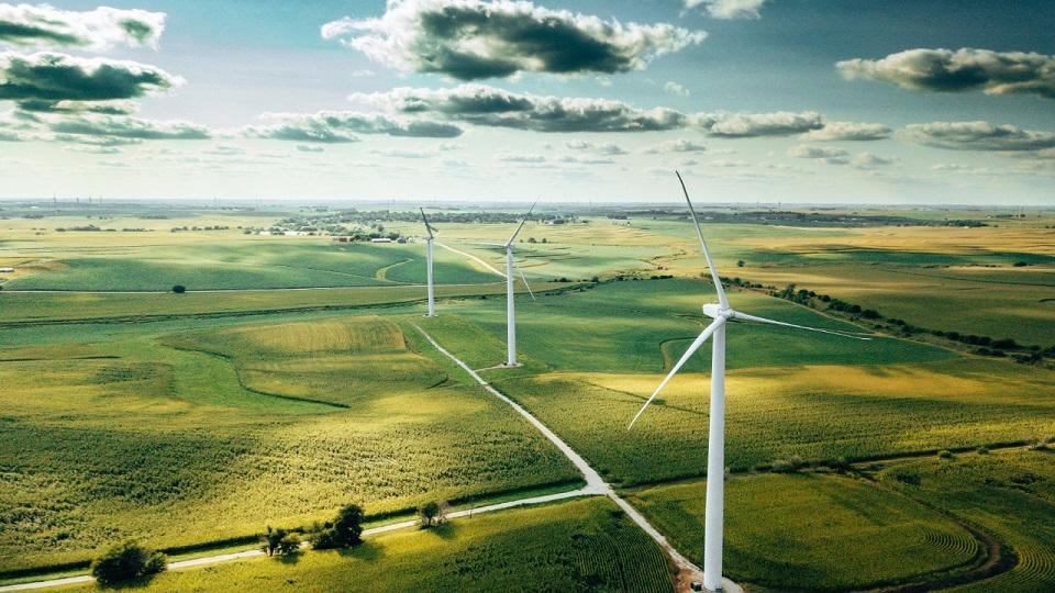 Wind turbines in field