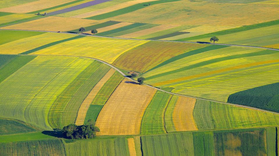 Whitepaper ontsluit het potentieel van natuurlijk kapitaal