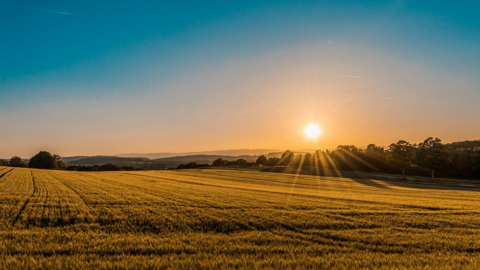 Foto: Federico Respini op Unsplash