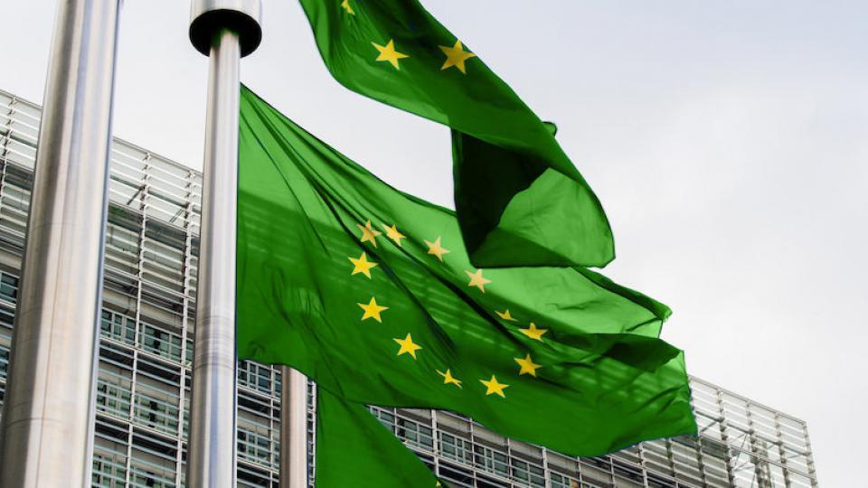 Groene EU-vlaggen bij het Berlaymontgebouw van de Europese Commissie in Brussel. Foto: EC.