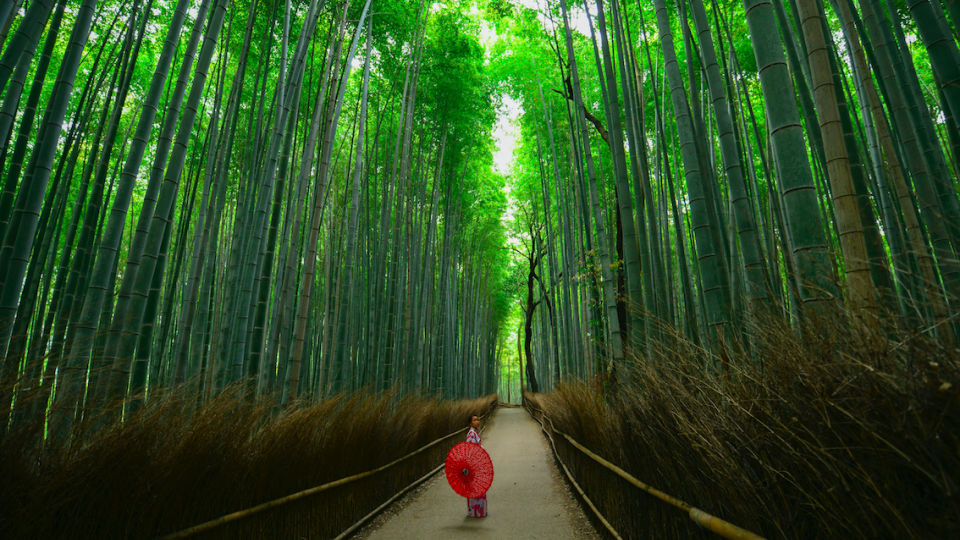 Japan, W.M. Stein/Unsplash 