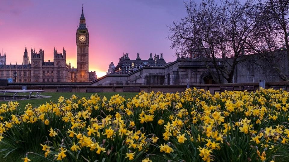 Westminster, Londen 