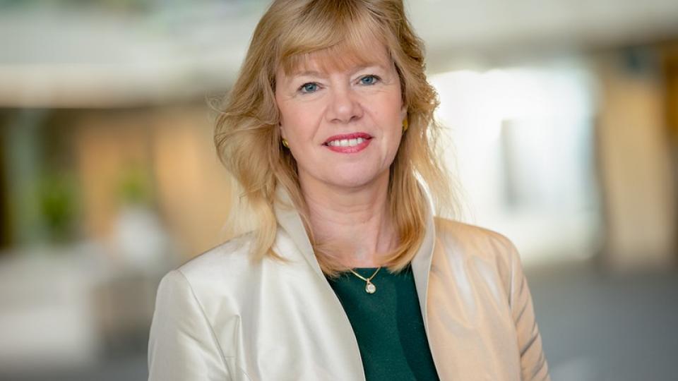 Roelie van Wijk, Aegon Asset Management