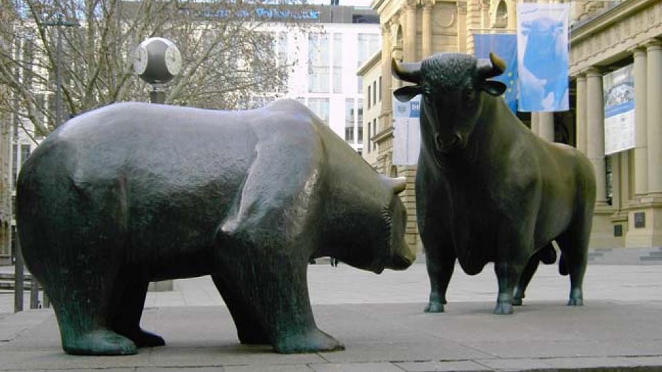 Bear vs bull