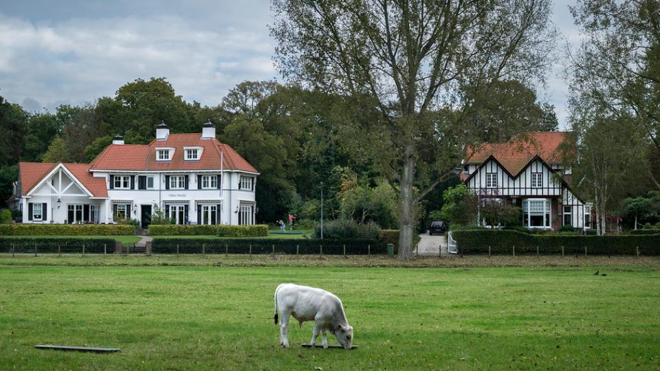 Bloemendaal