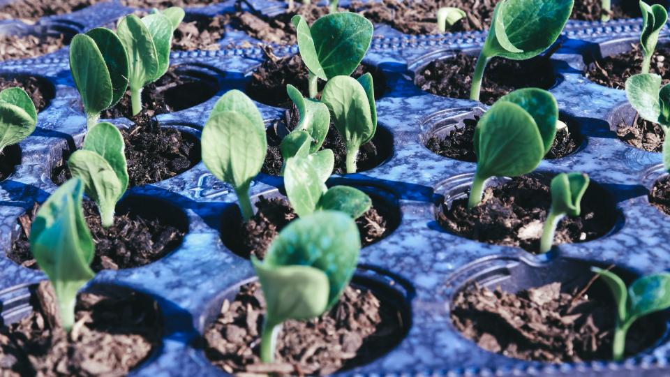  Duurzame landbouw verdient steun van impactbeleggers