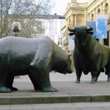 bull vs bear