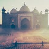 Photo by Varshesh Joshi on Unsplash